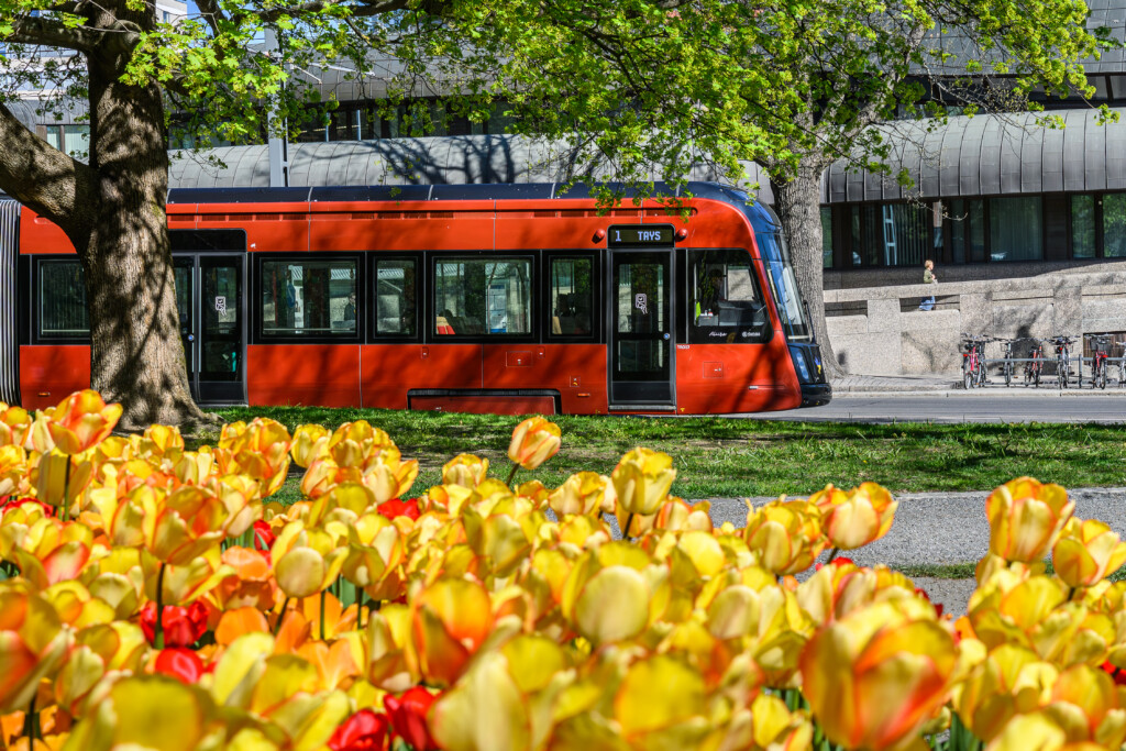 Tampereen Ratikan Aliisa-vaunu