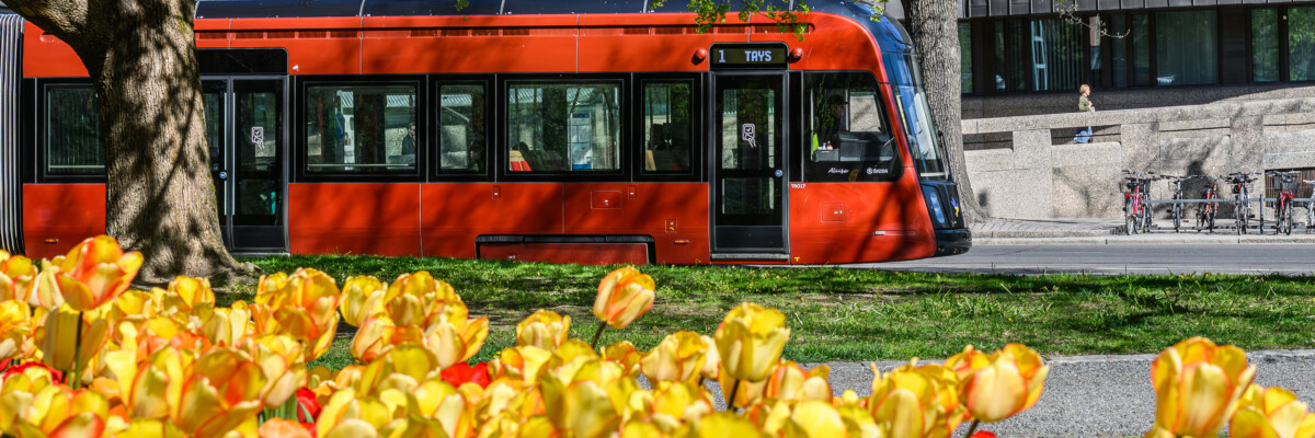 Tampereen Ratikan Aliisa-vaunu