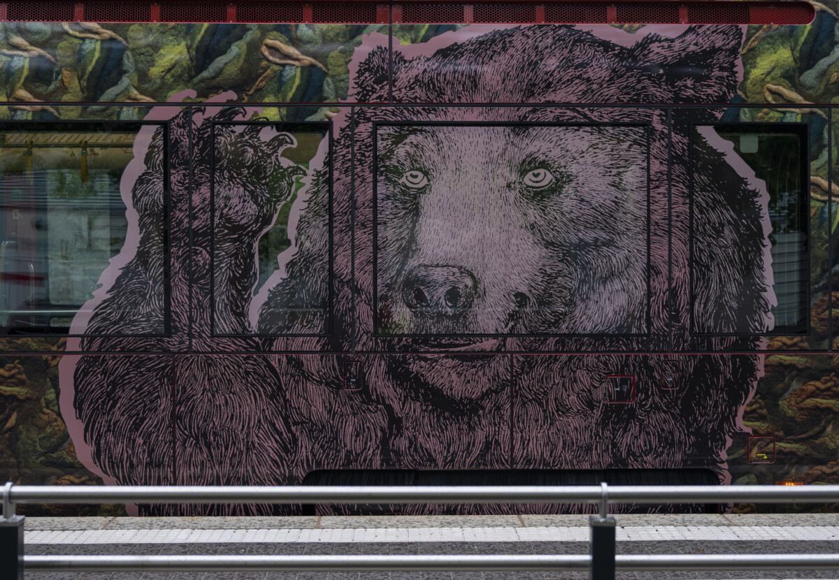 Morottavat metsäneläimet Karhu