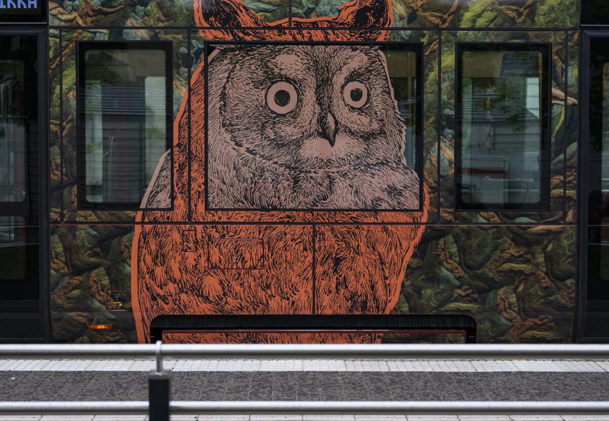 Morottavat metsäneläimet Pöllö