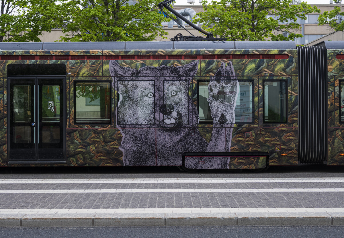 Morottavat metsäneläimet Susi