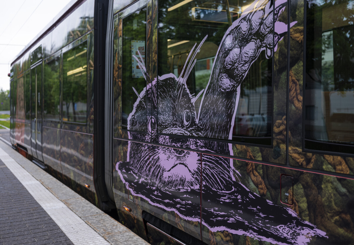 Morottavat metsäneläimet Saukko