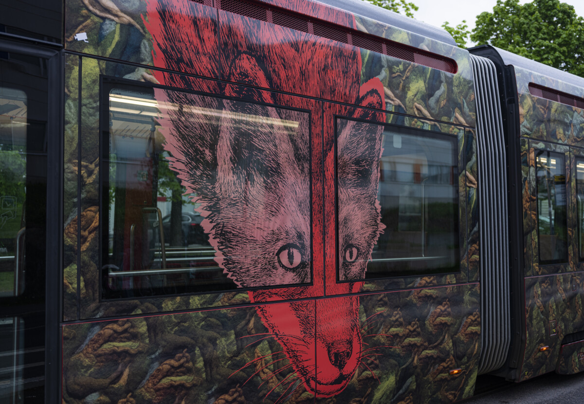 Morottavat metsäneläimet Kettu