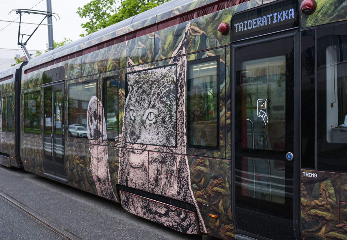 Morottavat metsäneläimet Ilves