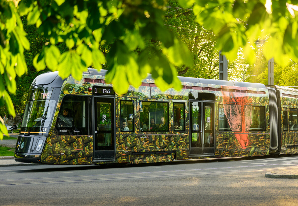 Taideratikka Morottavat metsäneläimet